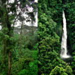 Bosque Lluvioso y Volcán Poás
